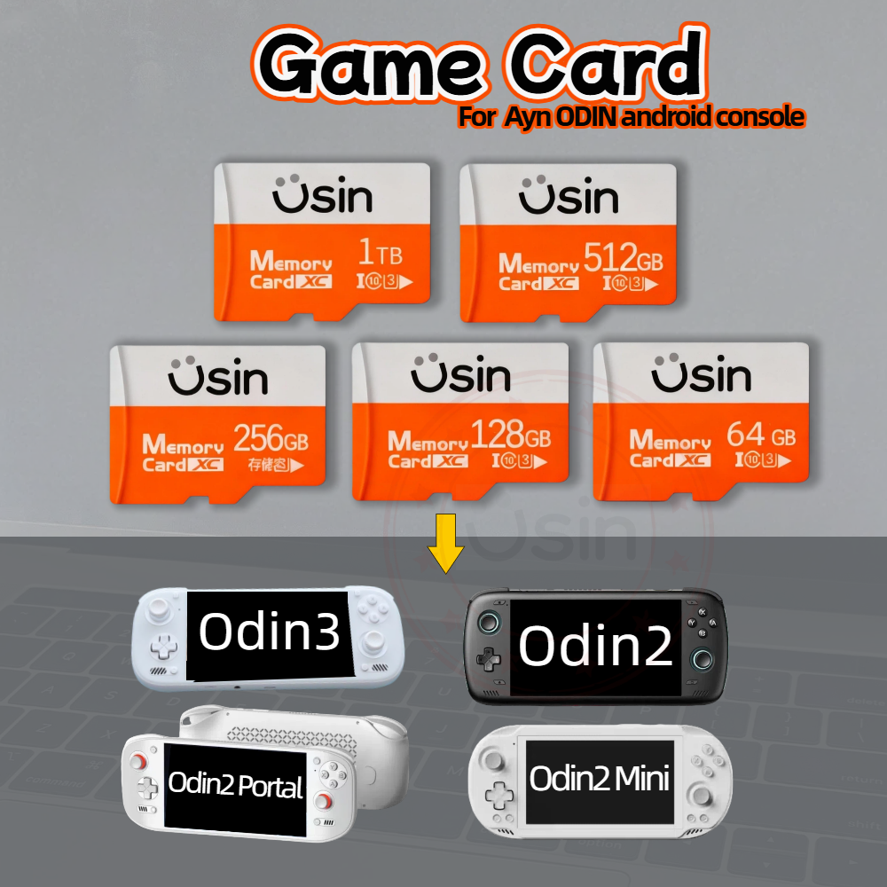 Retro Gaming Download - Karta SD do gier dla Ayn